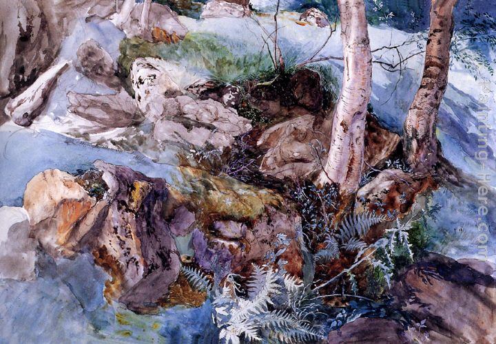 John Ruskin Study of the Rocks and Ferns, Crossmouth